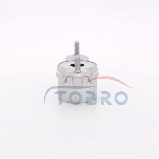 Tobro Suspension Auto PartsStoßdämpfer 21031000 2463260064 Federbeinmontage Federbeinmontage für Mercedes Benz a